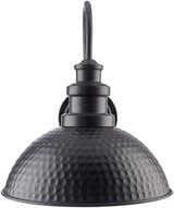 Caltimacan Outdoor Wall Sconce