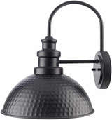 Caltimacan Outdoor Wall Sconce