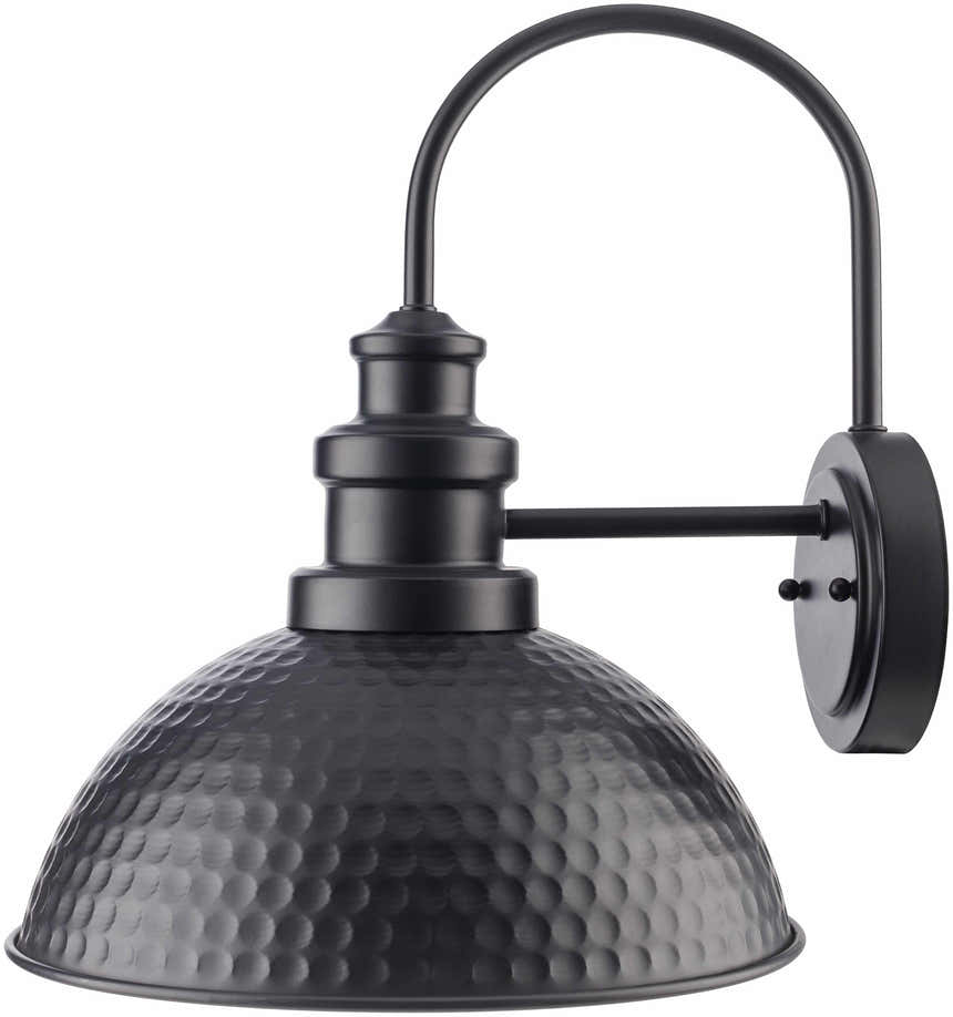 Caltimacan Outdoor Wall Sconce