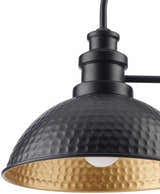 Caltimacan Outdoor Wall Sconce