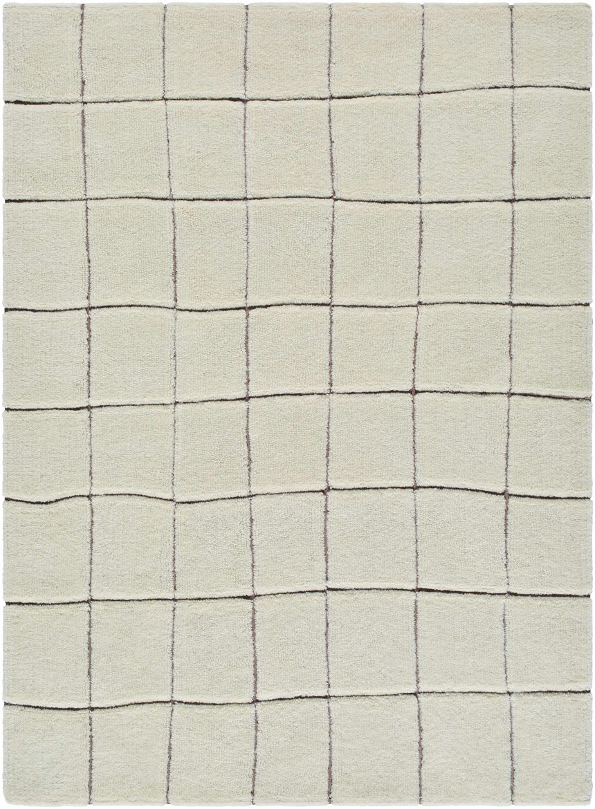 Caolan Washable Wool Rug