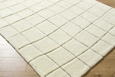 Caolan Washable Area Rug