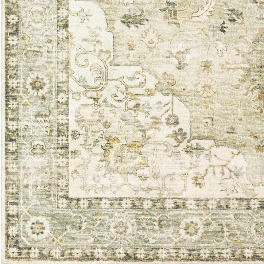 Sample Crondall Sage Traditional Area Rug