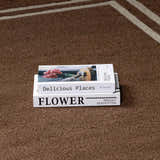 Close-up of the textured, chocolate brown Chogan Area Rug with a geometric border and stacked books. Styleshot