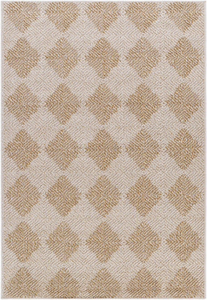 Collen Area Rug