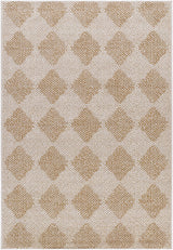 Kaya Outdoor Machine Woven  Vivir x LIVABLISS VVKA-2300 Area Rug