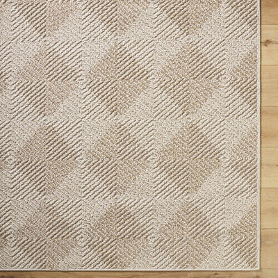 Collen Area Rug