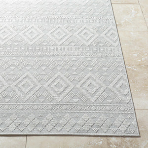 Choire Area Rug