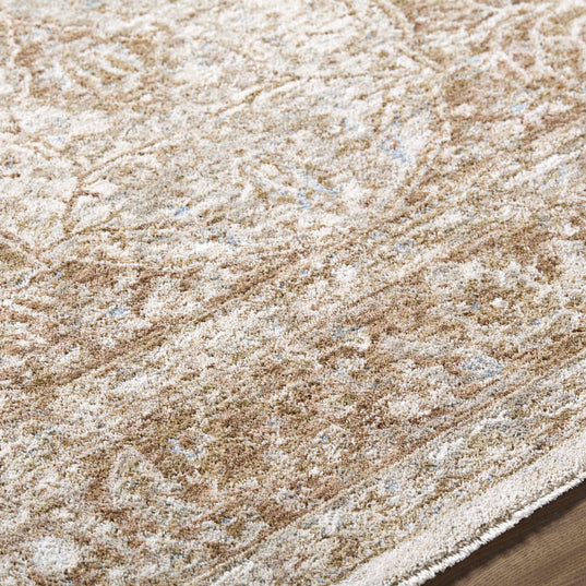 Charae Area Rug – Boutique Rugs