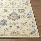 Candid Oushak Area Rug
