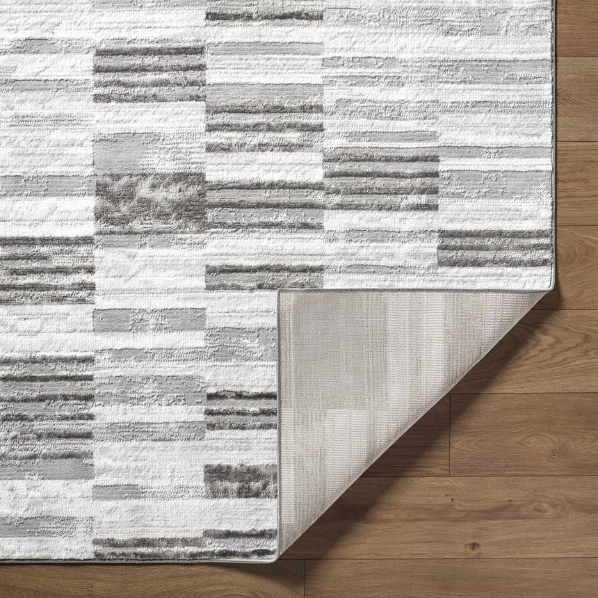 Chiaki Light Gray Area Rug