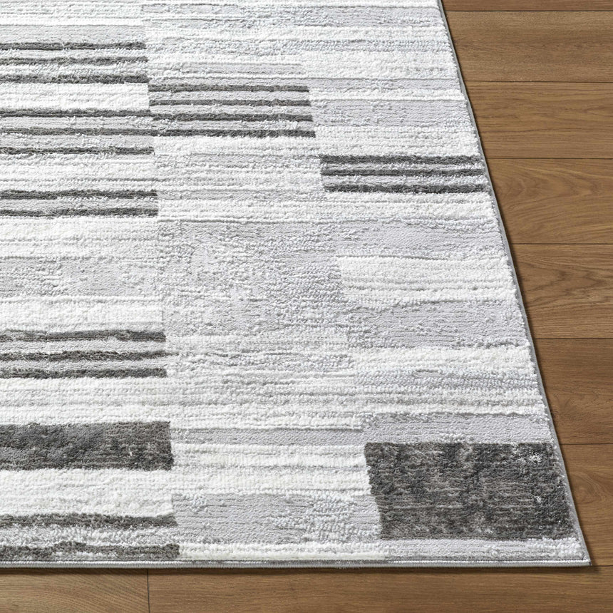 Chiaki Light Gray Area Rug