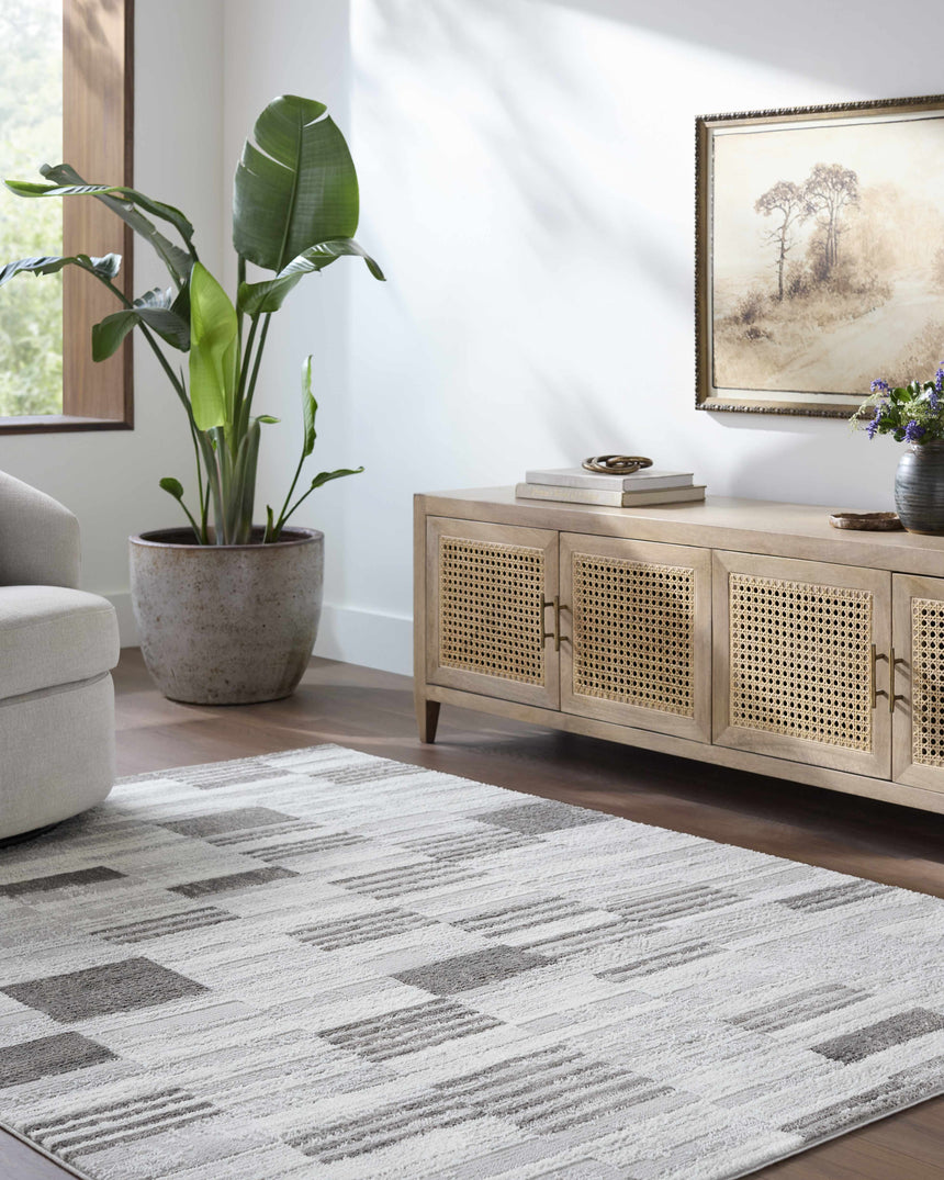 Chiaki Light Gray Area Rug