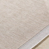 Chetan Tan Outdoor Rug