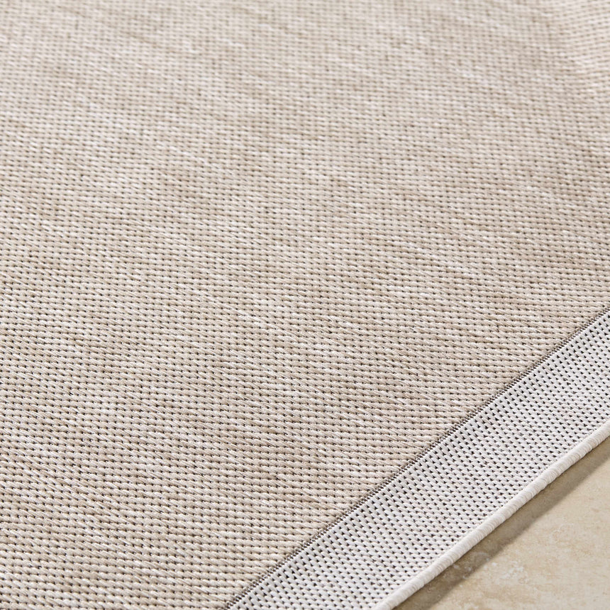 Chetan Tan Outdoor Rug