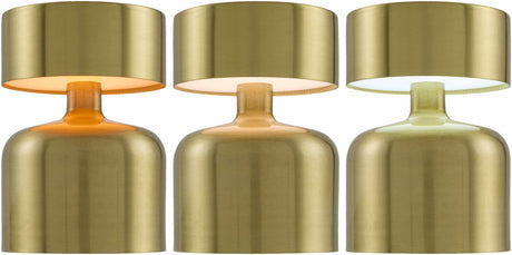 Domdidier Table Lamp