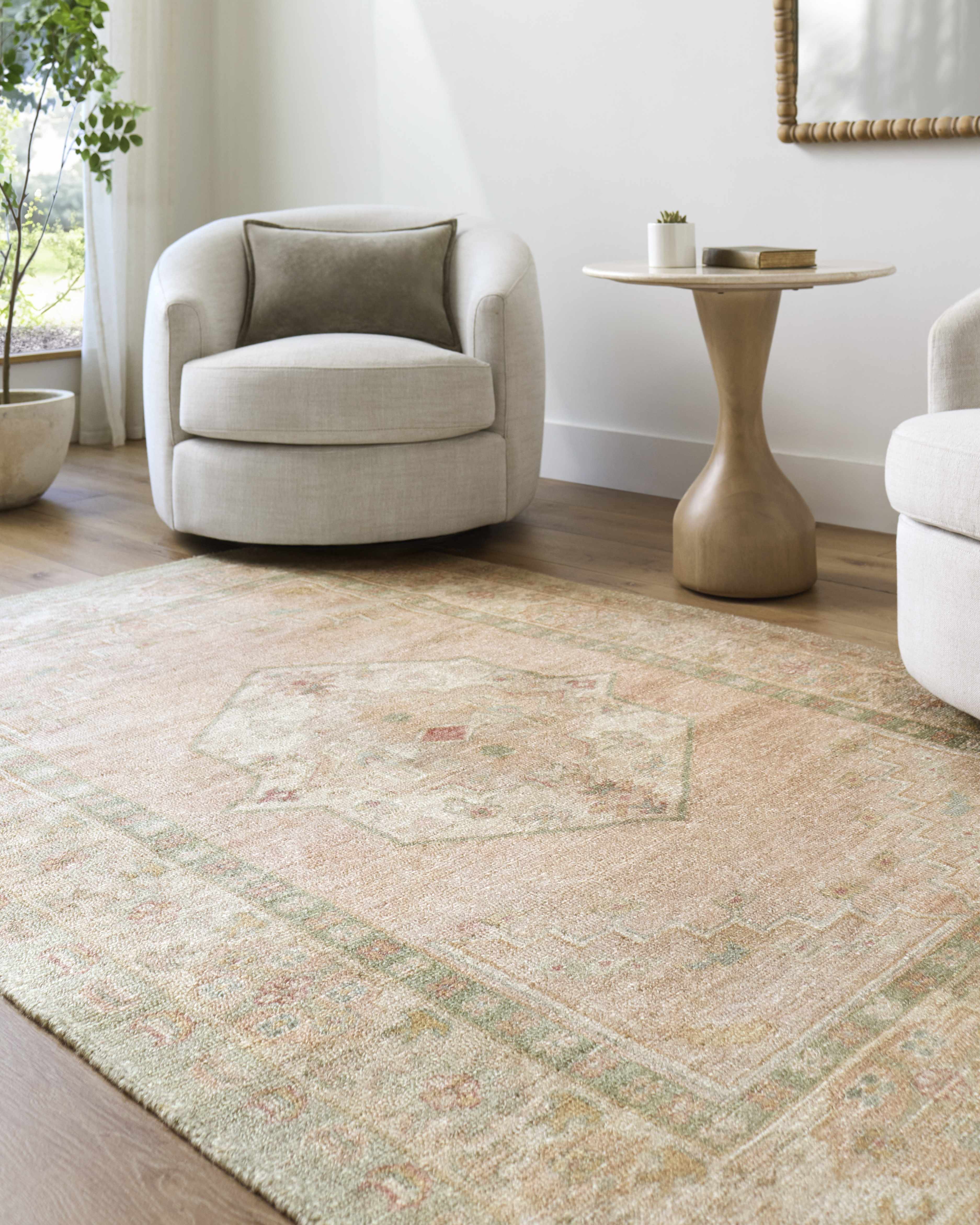 Galey Alix Luciana II Traditional Medallion Rug