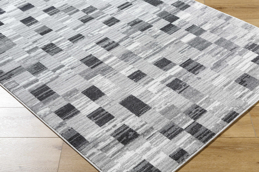 Alagan Medium Gray Area Rug