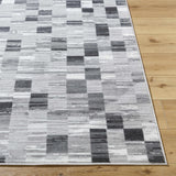 Alagan Medium Gray Area Rug
