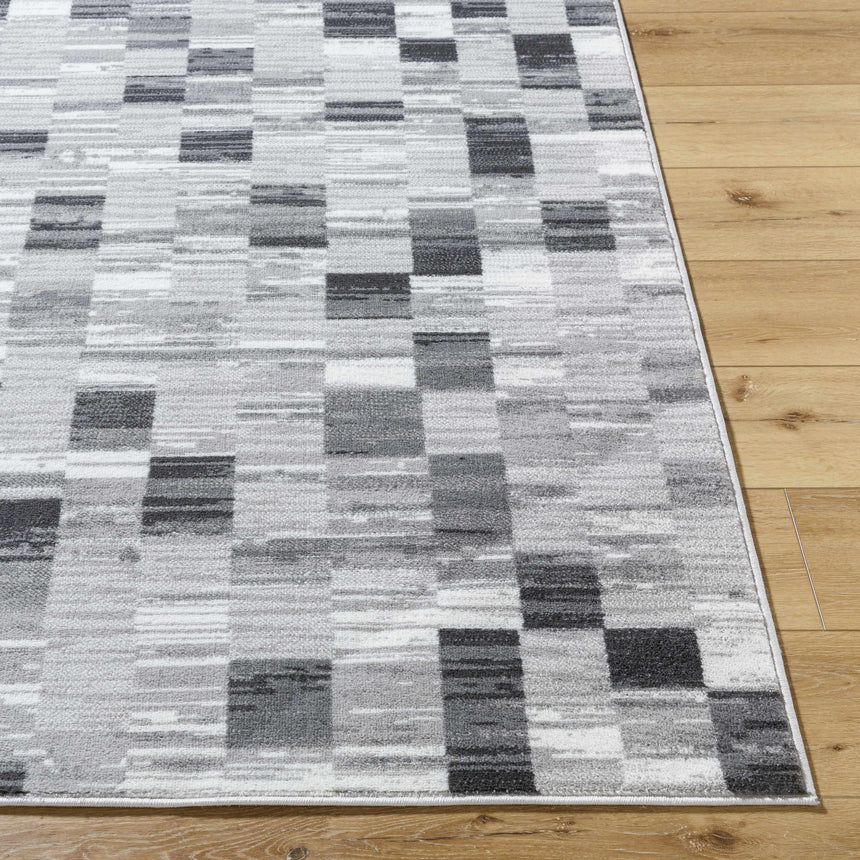 Alagan Medium Gray Area Rug