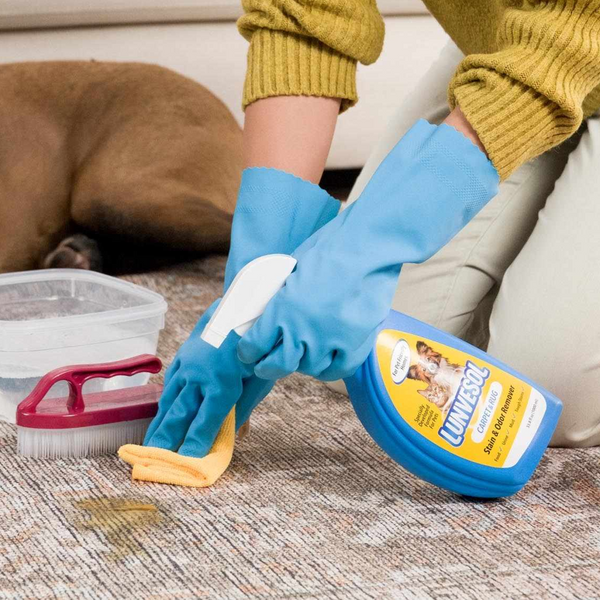 Pet Stain&Odor Remover