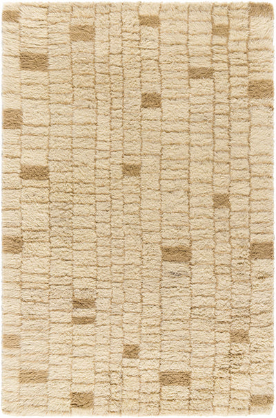 Anusha Area Rug