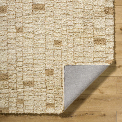 Anusha Area Rug