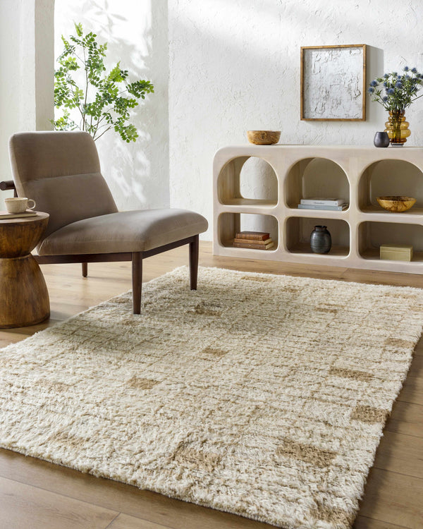 Anusha Area Rug