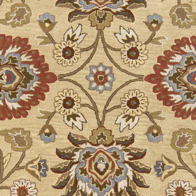 Sample Conesus Hand Tufted Beige & Rust 1116 Area Rug