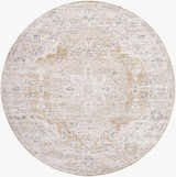 Close-up of a round Rhody Luxe Rug. Light silver, sterling gray, and gold traditional design. Design-Round-7