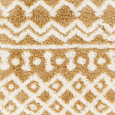 Sample Evely Shag Area Rug