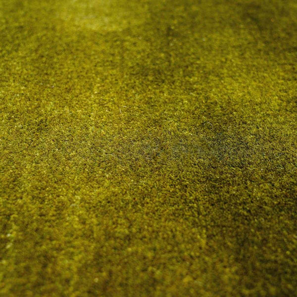 Myron Green Wool Area Rug