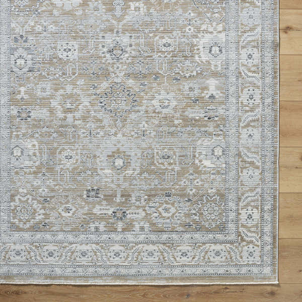 Sample Alexia Light Gray Area Rug
