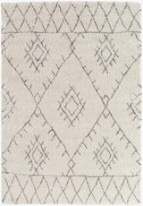 Flintville Moroccan Shag Area Rug - Clearance