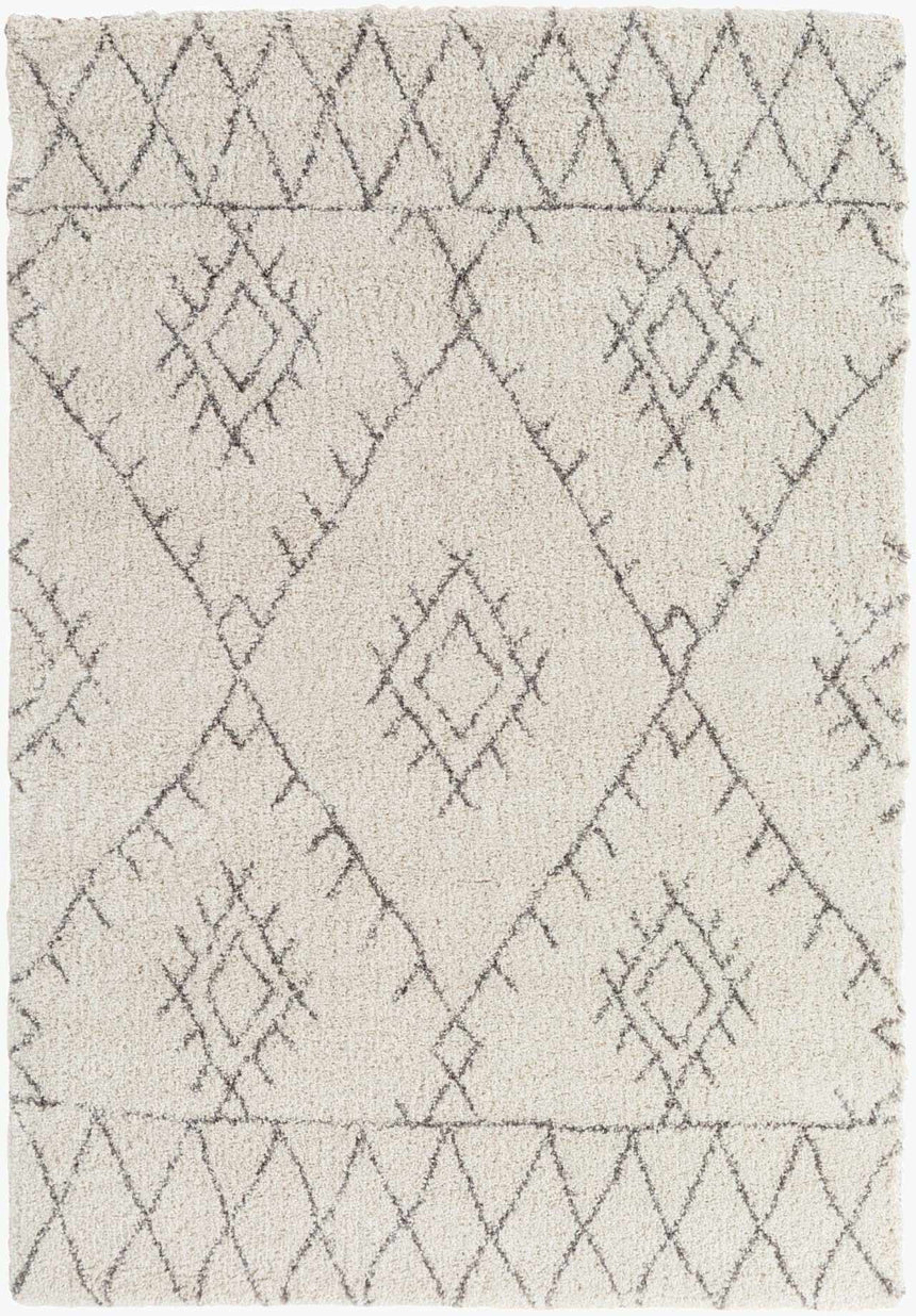 Flintville Moroccan Shag Area Rug - Clearance