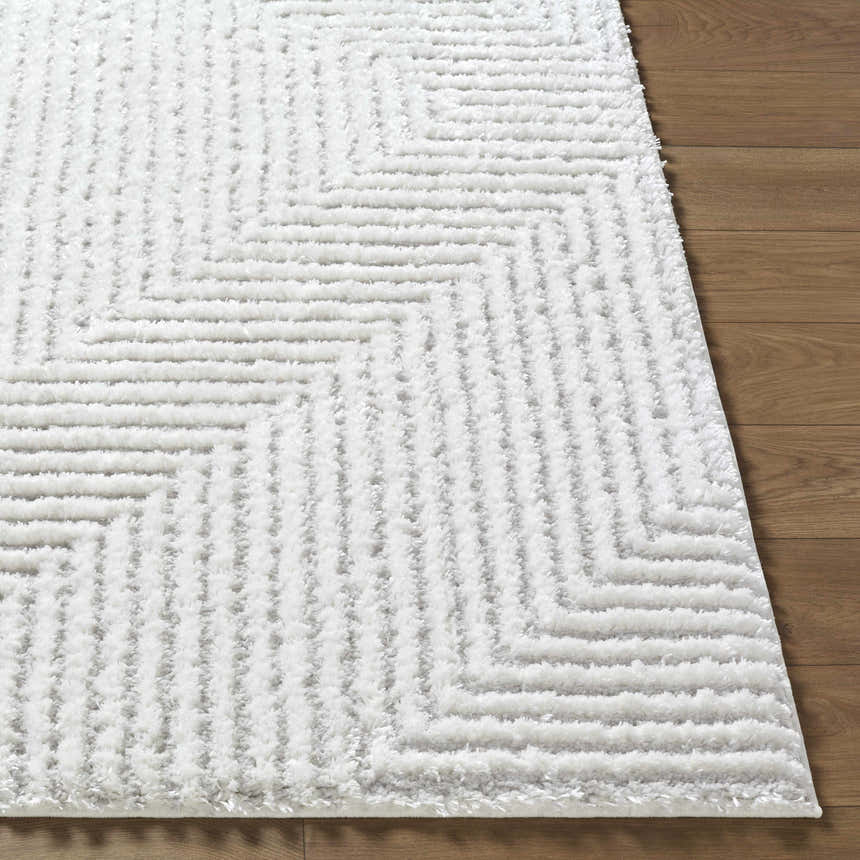 Close-up of the cream Ashlyn Area Rug showing its shag texture and subtle geometric pattern on a wood floor. Front