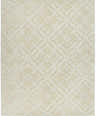 Close-up of the Fyffe Embossed Beige Wool Area Rug, showcasing its geometric pattern and soft, neutral color. Design-Rectangle