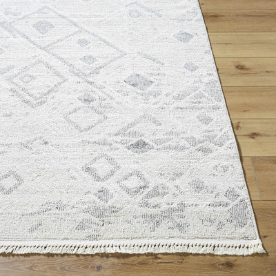 Avedis Area Rug