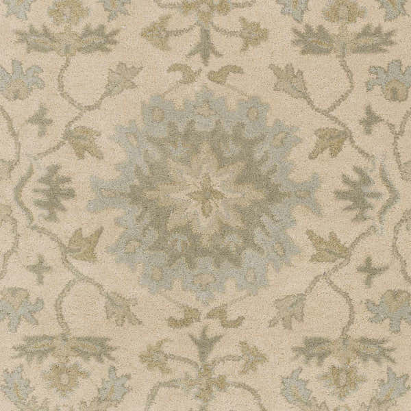 Sample Hazen 1197 Hand Tufted Light Beige Wool Rug