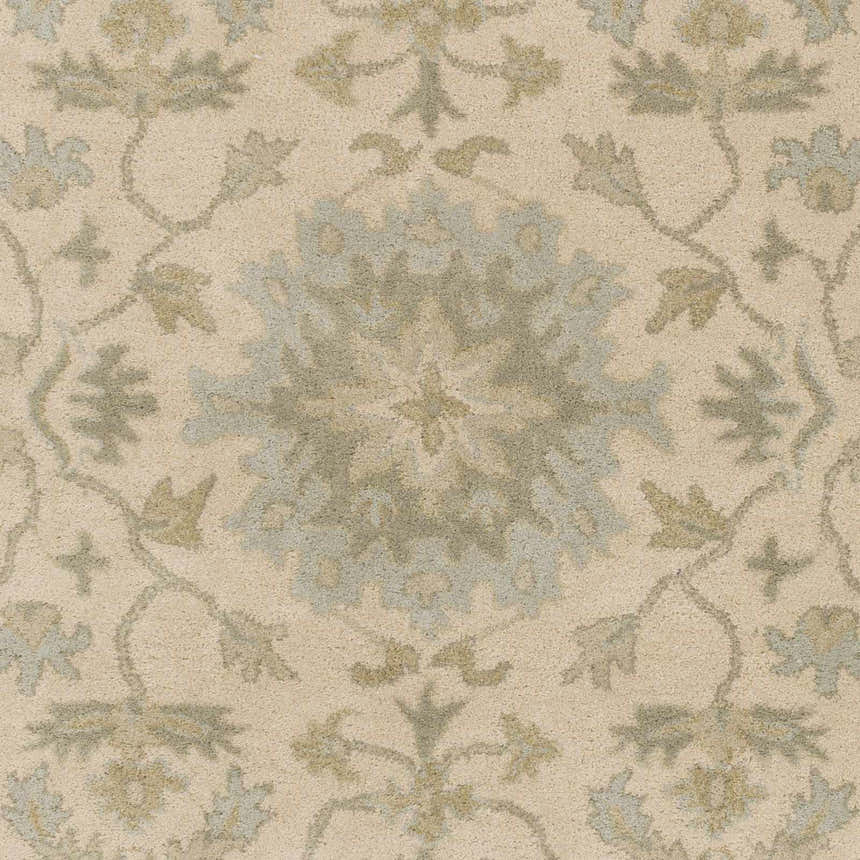 Sample Hazen 1197 Hand Tufted Light Beige Wool Rug