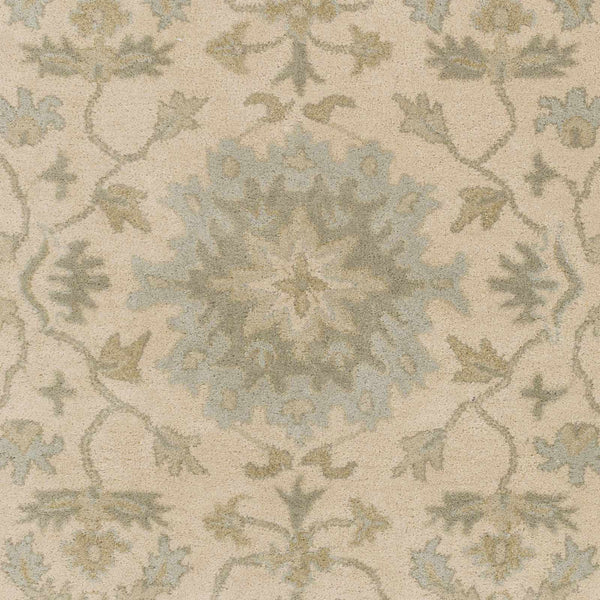 Sample Hazen Hand Tufted Light Beige 1197 Area Rug
