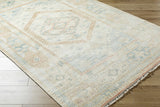 Garissa Hand Knotted Wool & Viscose Area Rug