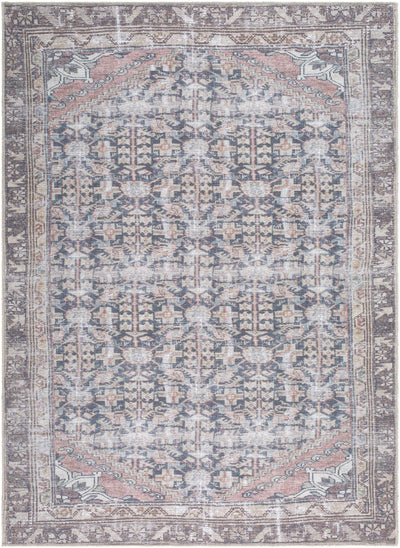 Ameera Washable Area Rug