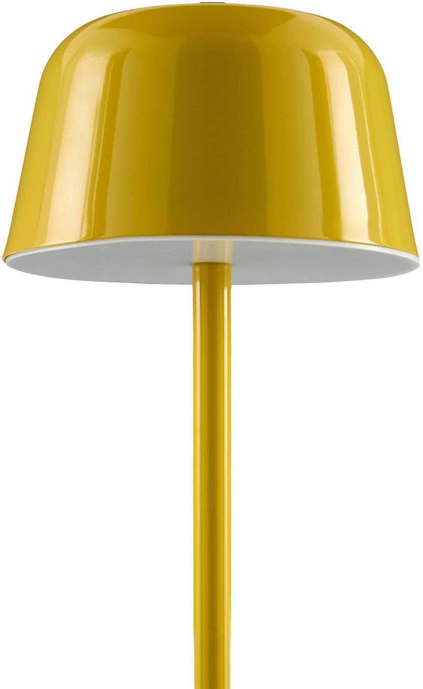 Griboyedov Table Lamp