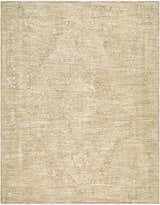 Close-up of the Antoan Sandstone Area Rug. Farmhouse style with ivory, sandstone, and taupe colors and traditional pattern. Design-Rectangle-710102