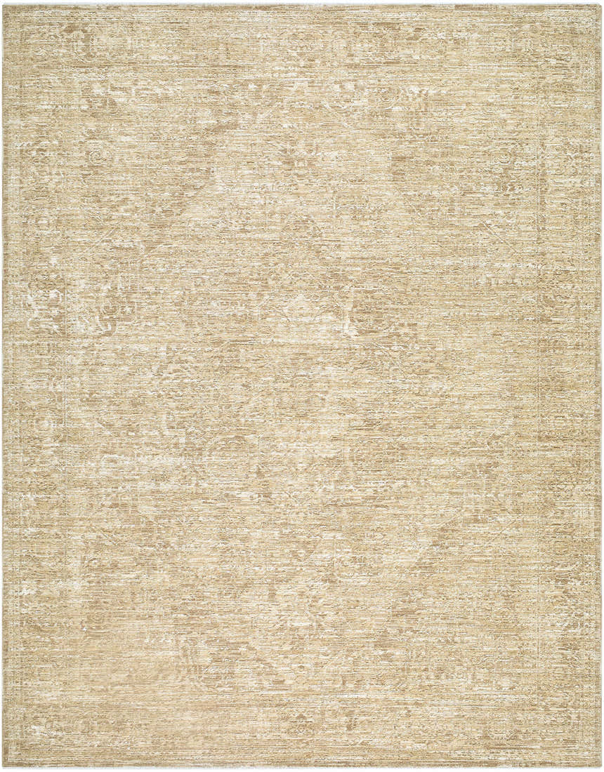 Close-up of the Antoan Sandstone Area Rug. Farmhouse style with ivory, sandstone, and taupe colors and traditional pattern. Design-Rectangle-710102
