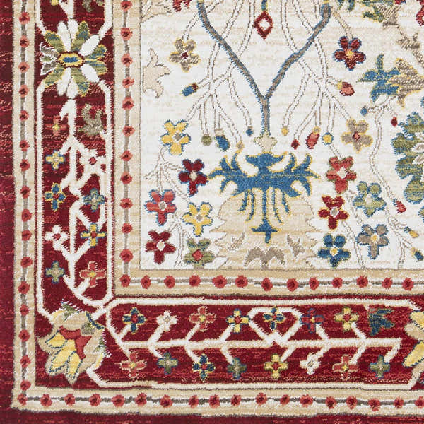 Sample Neola White/Red Damask Area Rug