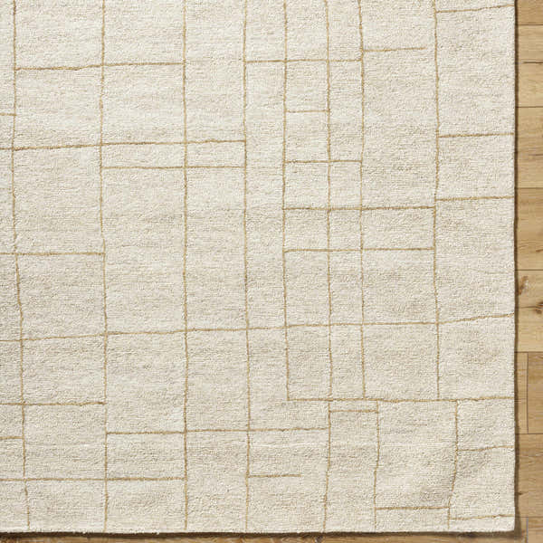 Sample Ailani Area Rug