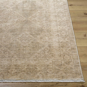 Aurica Area Rug