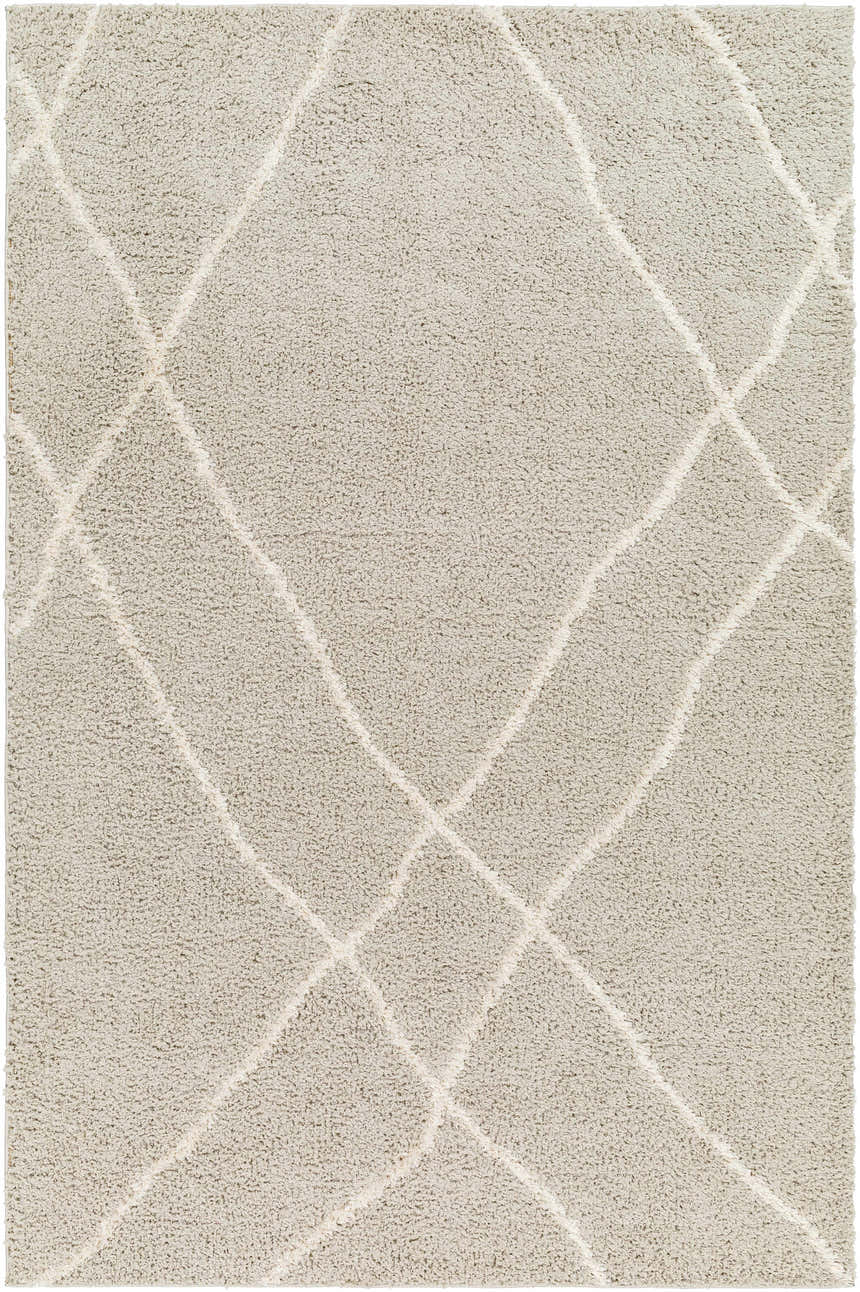 Sample Hadas Area Rug - Clearance